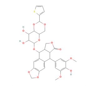 Teniposide (CAS 29767-20-2) - chemical structure image