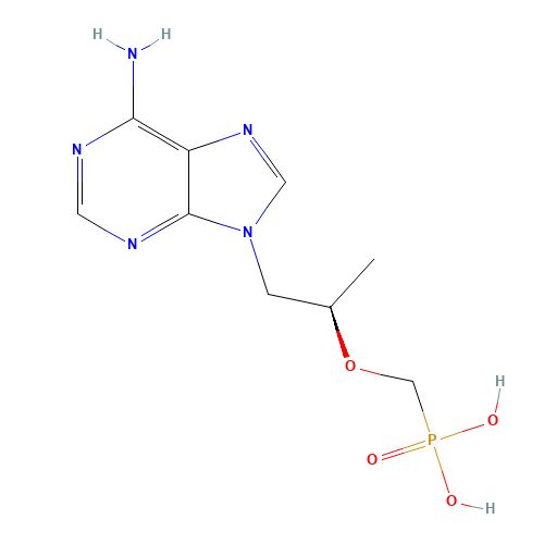 Tenofovir | CAS 147127-20-6 | SCBT - Santa Cruz Biotechnology
