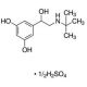 Terbutaline Hemisulfate (CAS 23031-32-5) - chemical structure image