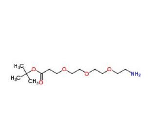 tert-Butyl 12-amino-4,7,10-trioxadodecanoate (CAS 252881-74-6) - chemical structure image