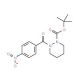 tert-Butyl 2-(4-nitrobenzoyl)tetrahydro-1(2H)-pyridazinecarboxylate - chemical structure image