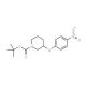 tert-Butyl-3-(4-nitrophenoxy)tetrahydro-1(2H)-pyridinecarboxylate (CAS 690632-16-7) - chemical structure image