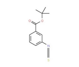 tert-Butyl 3-isothiocyanatobenzoate (CAS 486415-53-6) - chemical structure image
