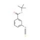 tert-Butyl 3-isothiocyanatobenzoate (CAS 486415-53-6) - chemical structure image