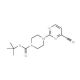tert-Butyl 4-(4-cyano-2-pyrimidinyl)tetrahydro-1(2H)-pyrazinecarboxylate - chemical structure image