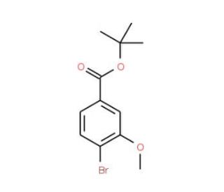 tert-Butyl 4-bromo-3-methoxybenzoate (CAS 247186-51-2) - chemical structure image