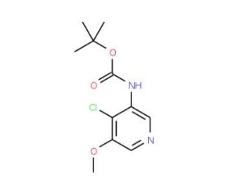 tert-Butyl 4-chloro-5-methoxypyridin-3-ylcarbamate (CAS 1045858-17-0) - chemical structure image