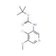 tert-Butyl 4-chloro-5-methoxypyridin-3-ylcarbamate (CAS 1045858-17-0) - chemical structure image