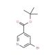 tert-Butyl 5-bromonicotinate (CAS 263270-02-6) - chemical structure image