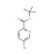 tert-Butyl 5-bromopyridine-2-carboxylate (CAS 845306-08-3) - chemical structure image