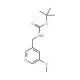 tert-Butyl (5-methoxypyridin-3-yl)methylcarbamate (CAS 1105675-60-2) - chemical structure image