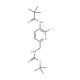 tert-Butyl (6-chloro-5-pivalamidopyridin-2-yl)-methylcarbamate (CAS 1142192-00-4) - chemical structure image