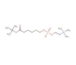 tert-Butyl 6-(O-Phosphorylcholine)hydroxyhexanoate (CAS 73839-23-3) - chemical structure image