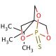 tert-Butyl bicyclo[2.2.2]phosphorothionate (CAS 70636-86-1) - chemical structure image