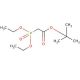tert-Butyl diethylphosphonoacetate (CAS 27784-76-5) - chemical structure image