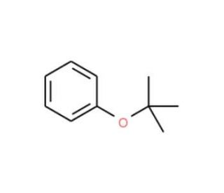 tert-Butyl phenyl ether (CAS 6669-13-2) - chemical structure image