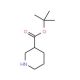 tert-Butyl piperidine-3-carboxylate (CAS 301180-05-2) - chemical structure image