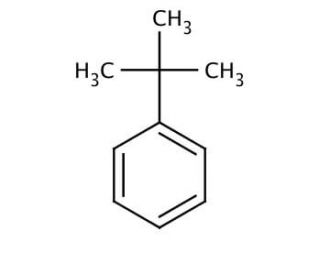 tert-Butylbenzene (CAS 98-06-6) - chemical structure image