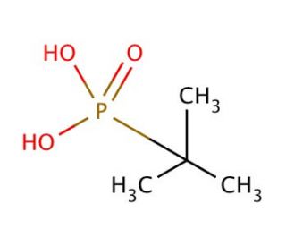 tert-Butylphosphonic acid (CAS 4923-84-6) - chemical structure image