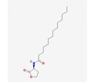 Tetradecanoyl-L-homoserine lactone - chemical structure image