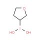 Tetrahydrofuran-3-boronic acid (CAS 260369-10-6) - chemical structure image
