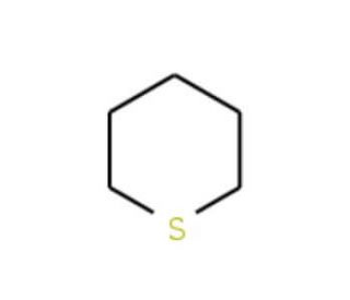 Tetrahydrothiopyran (CAS 1613-51-0) - chemical structure image