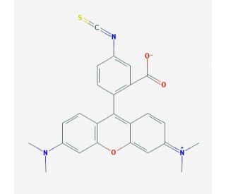 Tetramethylrhodamine-5-isothiocyanate (CAS 80724-19-2) - chemical structure image