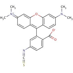 Fluorescéine isothiocyanate, isomère I, 100 mg, cas.number.title