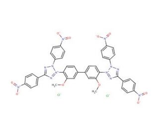 Tetranitro blue tetrazolium chloride (CAS 1184-43-6) - chemical structure image