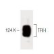 TFII-I Antibody (42) - Western Blotting - Image 60470 