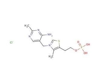 Thiamine monophosphate chloride dihydrate (CAS 273724-21-3) - chemical structure image
