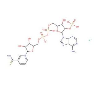 Thionicotinamide adenine dinucleotidephosphate potassium salt - chemical structure image