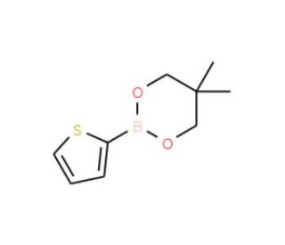 Thiophene-2-boronic acid, neopentyl glycol ester (CAS 355408-55-8) - chemical structure image