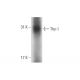 Thy-1/CD90 Antibody (F15-42-1) - Western Blotting - Image 68071 