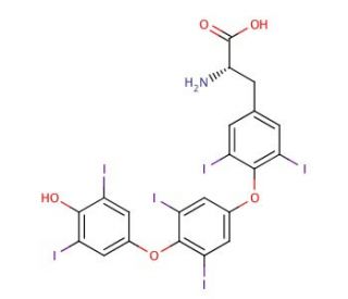 Thyroxine-4-hydroxy-3,5-diiodophenyl Ether (CAS 911661-90-0) - chemical structure image