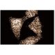 TIEG2 Antibody (32) - Immunofluorescence - Image 60705 
