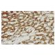 Tim8A Antibody (T-40) - Immunohistochemistry - Image 36369 