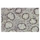 TLK2 Antibody (Y-17) - Immunohistochemistry - Image 35981 