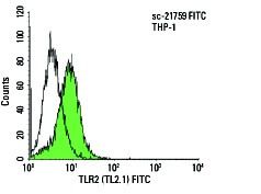 Example Tl2 TLR2 Antibody (TL2.1) | SCBT - Santa Cruz Biotechnology