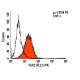TLR2 Antibody (TL2.1) - Flow Cytometry - Image 5956 