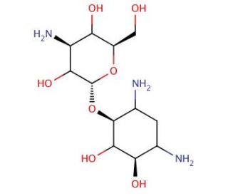 Tobramycin A | CAS 20744-51-8 | SCBT - Santa Cruz Biotechnology