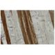 Tom1 Antibody (RQ-07) - Immunohistochemistry - Image 36370 