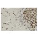 TPR Antibody (3B9) - Immunohistochemistry - Image 36375 