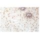 TR4 Antibody (95-P) - Immunohistochemistry - Image 53906 