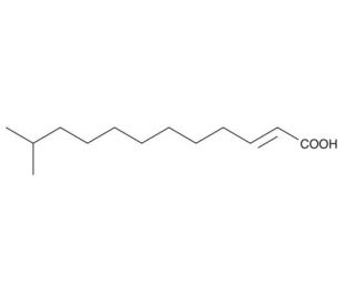 trans-&Delta;2-11-methyl-Dodecenoic Acid (CAS 677354-24-4) - chemical structure image