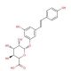 trans Resveratrol 3-O-β-D-Glucuronide (CAS 387372-17-0) - chemical structure image