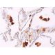 TRAP Antibody (D-3) - Immunohistochemistry - Image 369614