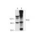 TRC8 Antibody (YB-16) - Western Blotting - Image 58221