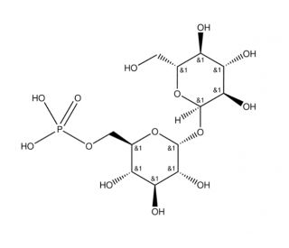 Trehalose 6-phosphate dipotassium salt (CAS 136632-28-5) - chemical structure image