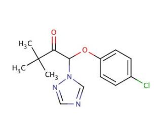 Triadimefon | CAS 43121-43-3 | SCBT - Santa Cruz Biotechnology